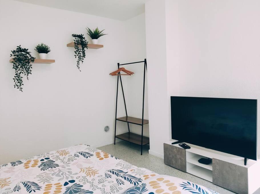 Magnifique Appartement T3 50 M2 Obernai Extérieur photo